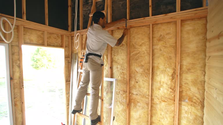 Best Soundproof Insulation  in Belmont, WI